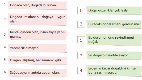 5. Sınıf Türkçe Ders Kitabı Cevapları Sayfa 159 KOZA Yayıncılık (5.Tema Ölçme Ve Değerlendirme Soruları)