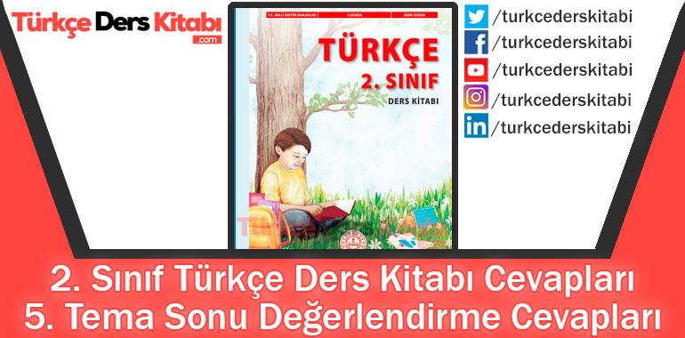 5. Tema Sonu Değerlendirme Cevapları (2. Sınıf Türkçe MEB)