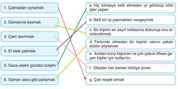 6. Sınıf Türkçe Ders Kitabı Cevapları Sayfa 140 Anka Yayıncılık (4. Tema Değerlendirme Soruları)
