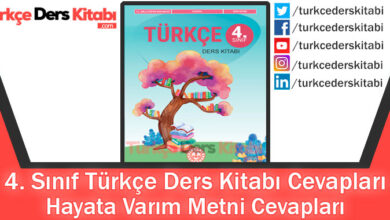 Hayata Varım Metni Cevapları (4. Sınıf Türkçe MEB)