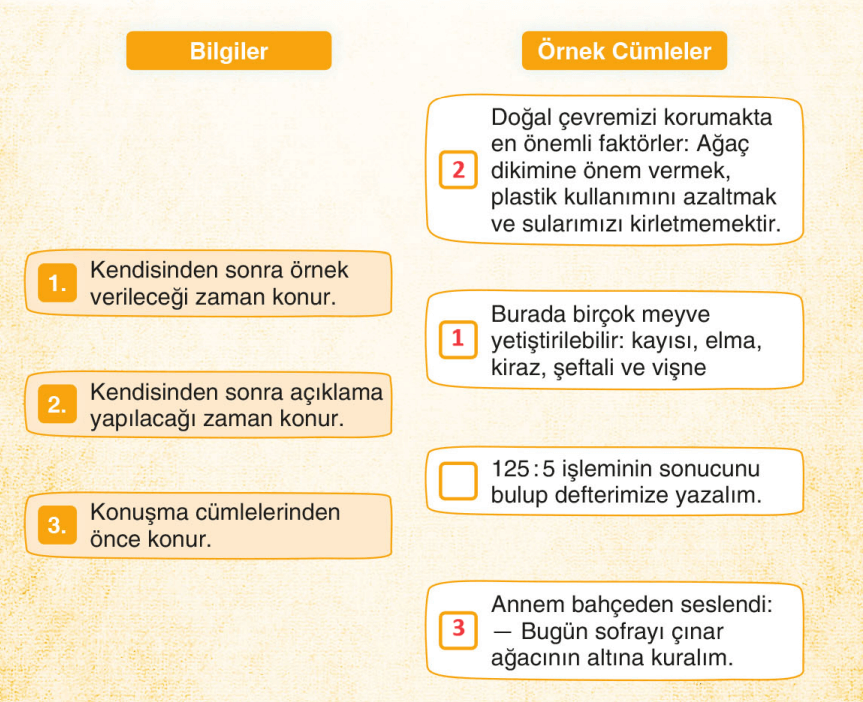 3. Sınıf Türkçe Ders Kitabı Cevapları Sayfa 207 Sonuç Yayıncılık (Yeşil İlkbahar)