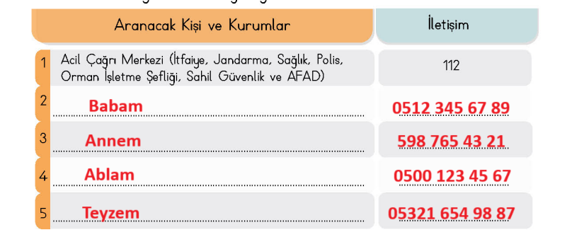 4. Sınıf Türkçe Ders Kitabı Cevapları Sayfa 142 MEB Yayınları (Alo! Kayın Ağacı Mı)