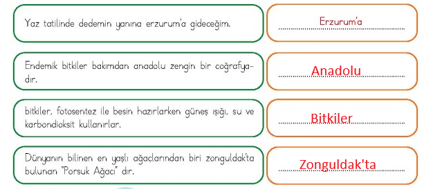 4. Sınıf Türkçe Ders Kitabı Cevapları Sayfa 148 MEB Yayınları (Güneş Nasıl Çalışır) 
