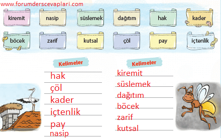 4. Sınıf Türkçe Ders Kitabı Cevapları Sayfa 162 KOZA Yayınları (Ateş Böceği)