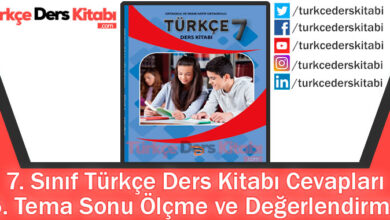 5. Tema Sonu Ölçme ve Değerlendirme Cevapları (7. Sınıf Türkçe Dörtel)