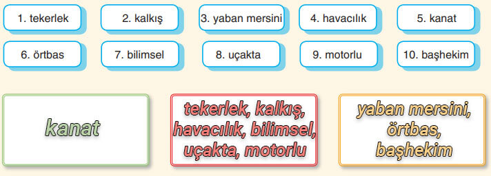6. Sınıf Türkçe Ders Kitabı Cevapları Sayfa 153 Anka Yayıncılık (Küçük Ressam)