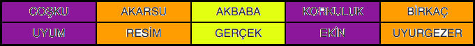 6. Sınıf Türkçe Ders Kitabı Cevapları Sayfa 165 Anka Yayıncılık (Sanat Hakkında)