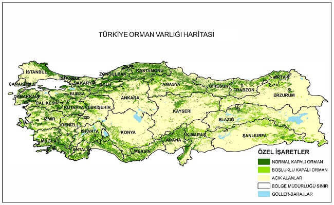 6. Sınıf Türkçe Ders Kitabı Cevapları Sayfa 182-183 Anka Yayıncılık(Gökyüzündeki Ateş: Kutup Işıkları)