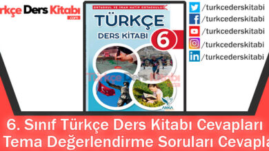 6. Tema Değerlendirme Soruları Cevapları (6. Sınıf Türkçe Anka)