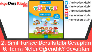 6. Tema Neler Öğrendik Cevapları (2. Sınıf Türkçe Bilim ve Kültür)