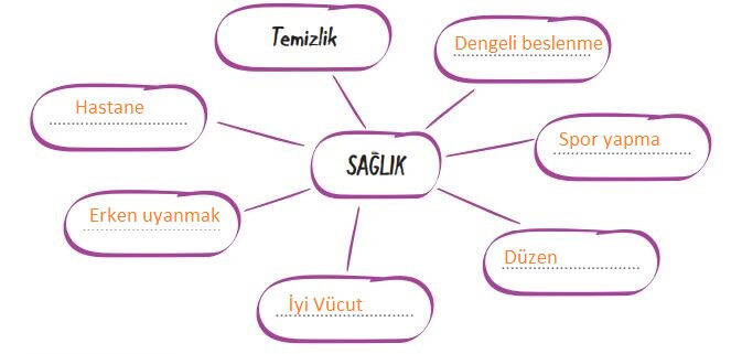 7. Sınıf Türkçe Ders Kitabı Cevapları Sayfa 165 Dörtel Yayıncılık (Sağlık)