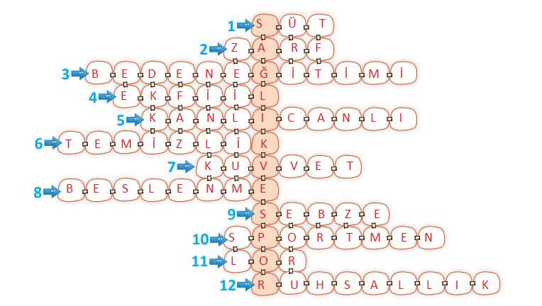 7. Sınıf Türkçe Ders Kitabı Cevapları Sayfa 184 Dörtel Yayıncılık (6. Tema Sonu Ölçme ve Değerlendirme)