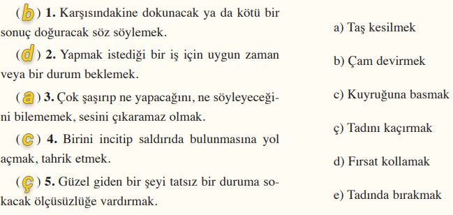 8. Sınıf Türkçe Ders Kitabı Cevapları Sayfa 223 Ferman Yayıncılık (6. Ünite Ölçme ve Değerlendirme)