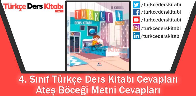 Ateş Böceği Metni Cevapları (4. Sınıf Türkçe KOZA)