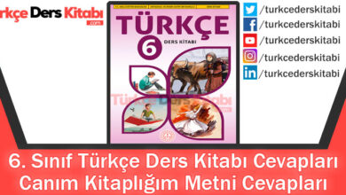 Canım Kitaplığım Metni Cevapları (6. Sınıf Türkçe MEB)