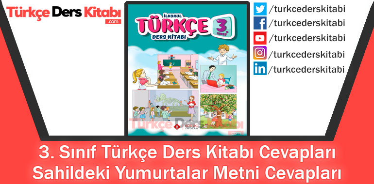 Sahildeki Yumurtalar Metni Cevapları (3. Sınıf Türkçe Sonuç)