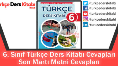 Son Martı Metni Cevapları (6. Sınıf Türkçe Anka)