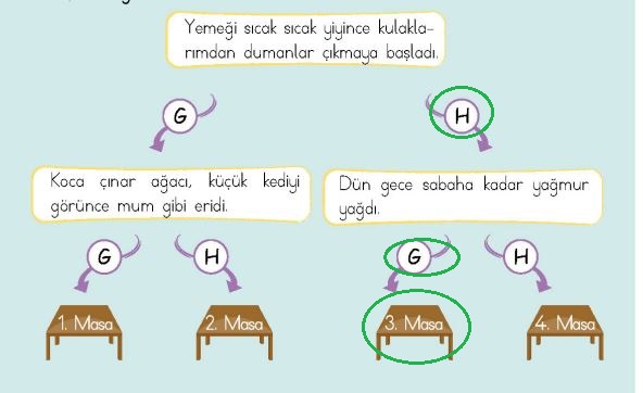 4. Sınıf Türkçe Ders Kitabı Cevapları Sayfa 195 MEB Yayınları (6. Tema Değerlendirme Çalışması)