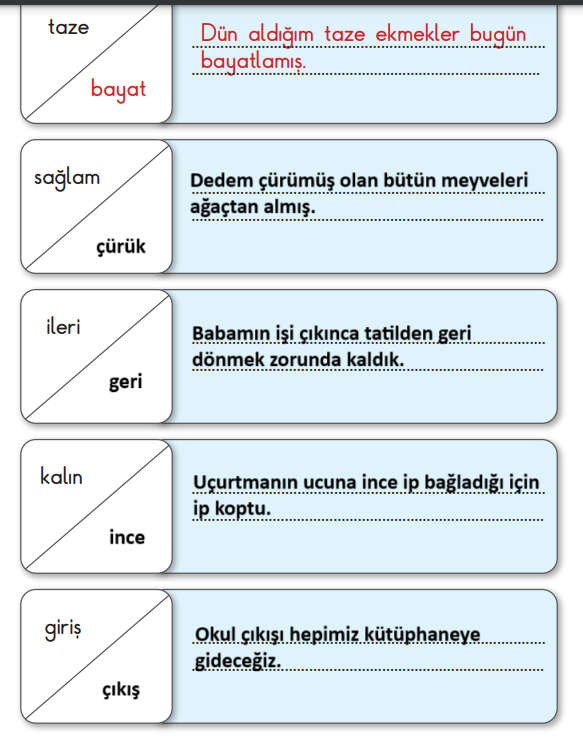 2. Sınıf Türkçe Ders Kitabı Sayfa 242 Cevapları MEB Yayınları