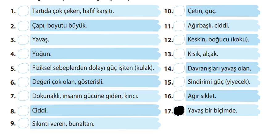 5. Sınıf Türkçe Ders Kitabı Sayfa 230 Cevapları KOZA Yayınları