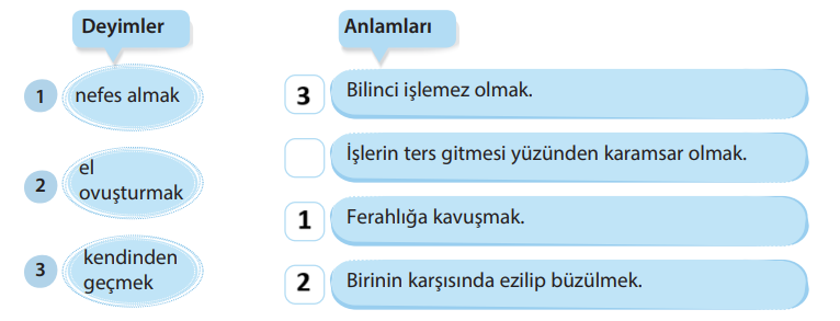 5. Sınıf Türkçe Ders Kitabı Sayfa 240 Cevapları KOZA Yayınları