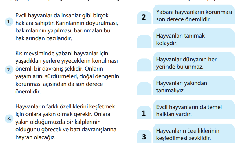5. Sınıf Türkçe Ders Kitabı Sayfa 246 Cevapları KOZA Yayınları