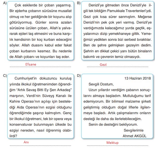 6. Sınıf Türkçe Ders Kitabı Cevapları Sayfa 227 Anka Yayıncılık (7. Tema Değerlendirme Soruları)