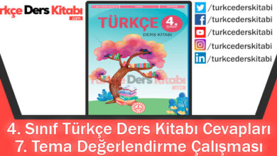 7. Tema Değerlendirme Çalışması Cevapları (4. Sınıf Türkçe MEB)