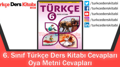 Oya Metni Cevapları (6. Sınıf Türkçe MEB)